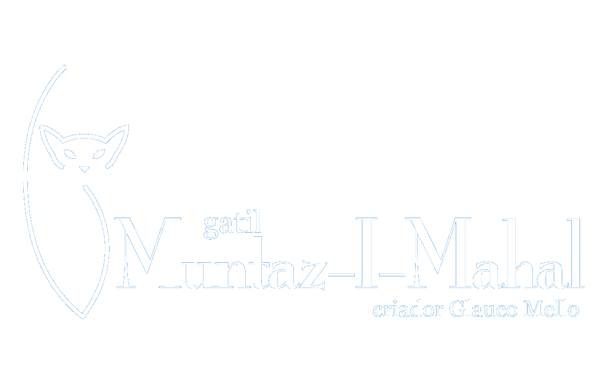 Gatil Mun-taz-i-mahal por Glauco Mello